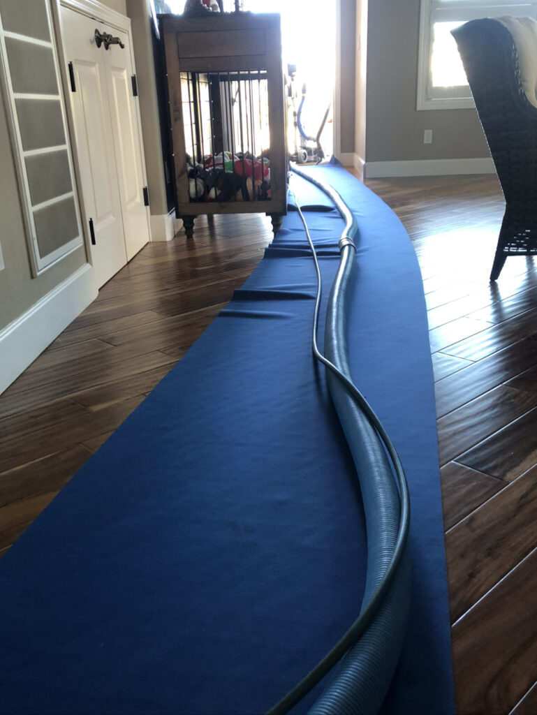 Hose on blue mat in hallway.